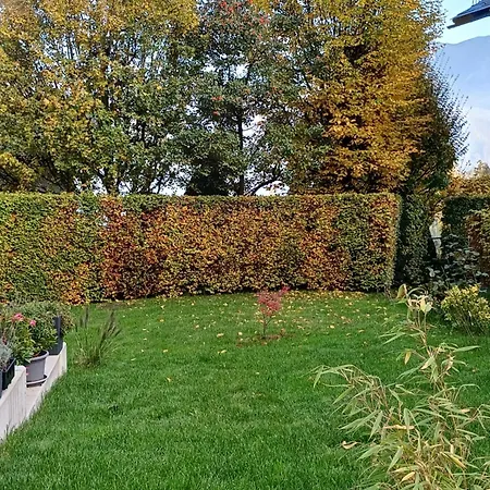 Claudia Mit Terrasse *