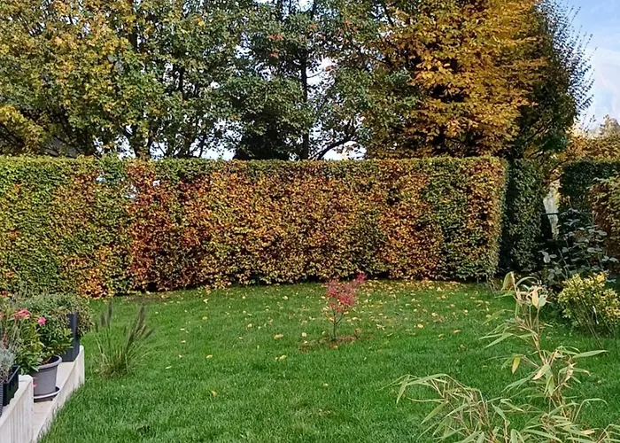 Claudia Mit Terrasse *