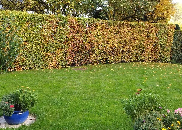 Appartement Claudia Mit Terrasse Nussdorf am Attersee